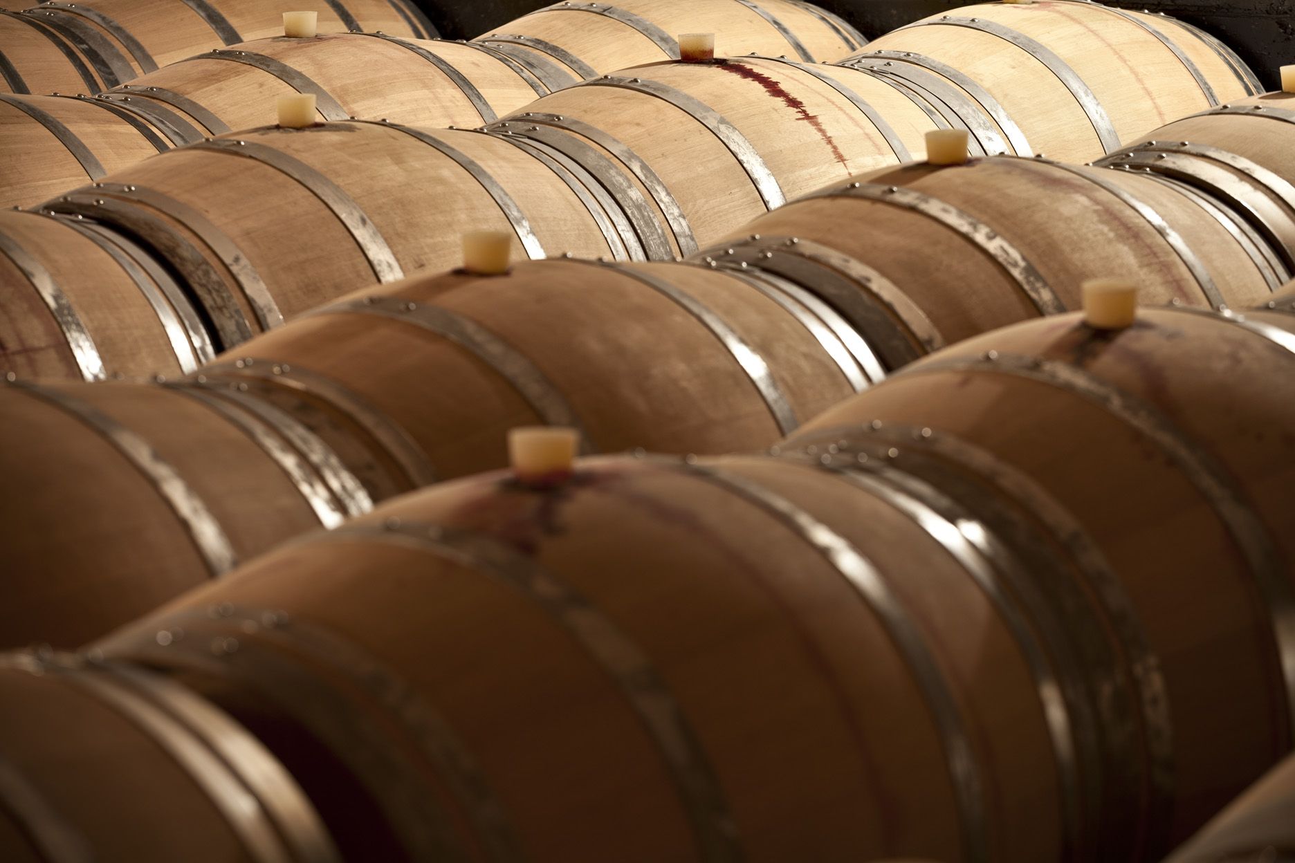 Botti di vino
